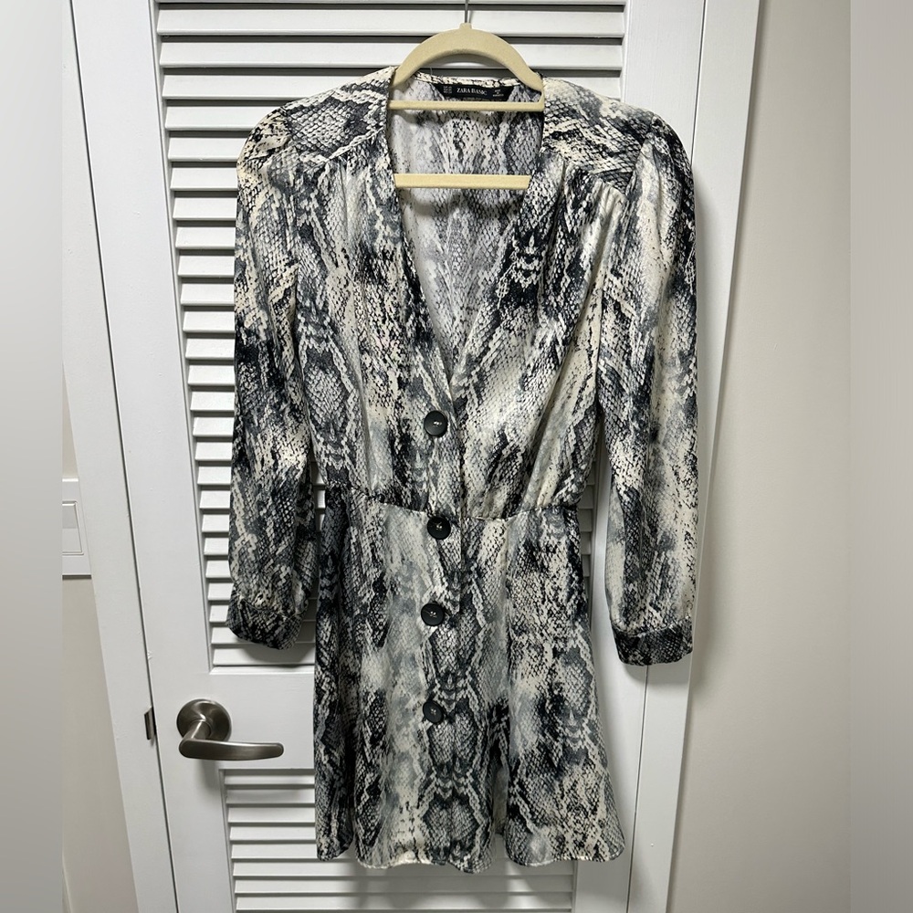 ZARA Dress